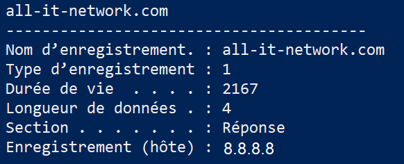 All IT Network réponse DNS exemple