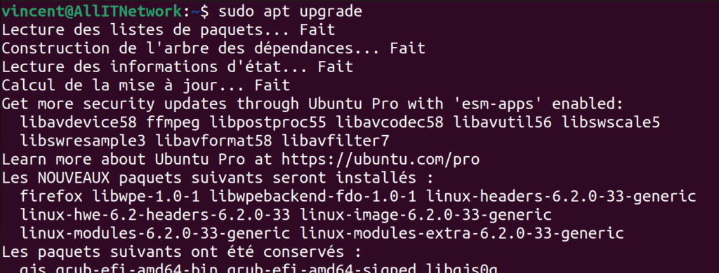 Ubuntu - sudo apt upgrade