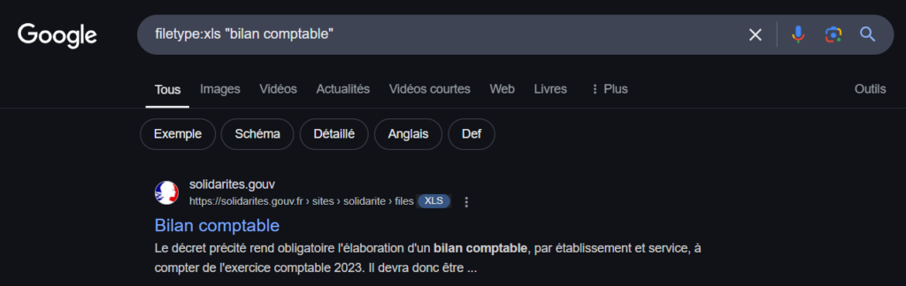 Google Dorking - filetype:xls "bilan comptable"