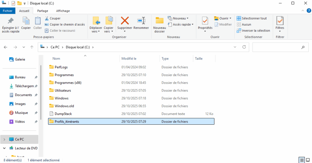 Création du dossier Profils_itinérants